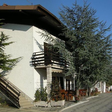 Turisticna Kmetija Birsa Villa Dobravlje Eksteriør billede