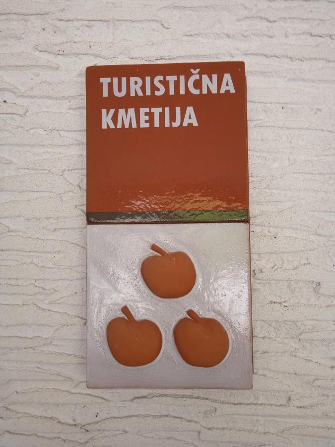 Turisticna Kmetija Birsa Villa Dobravlje Eksteriør billede
